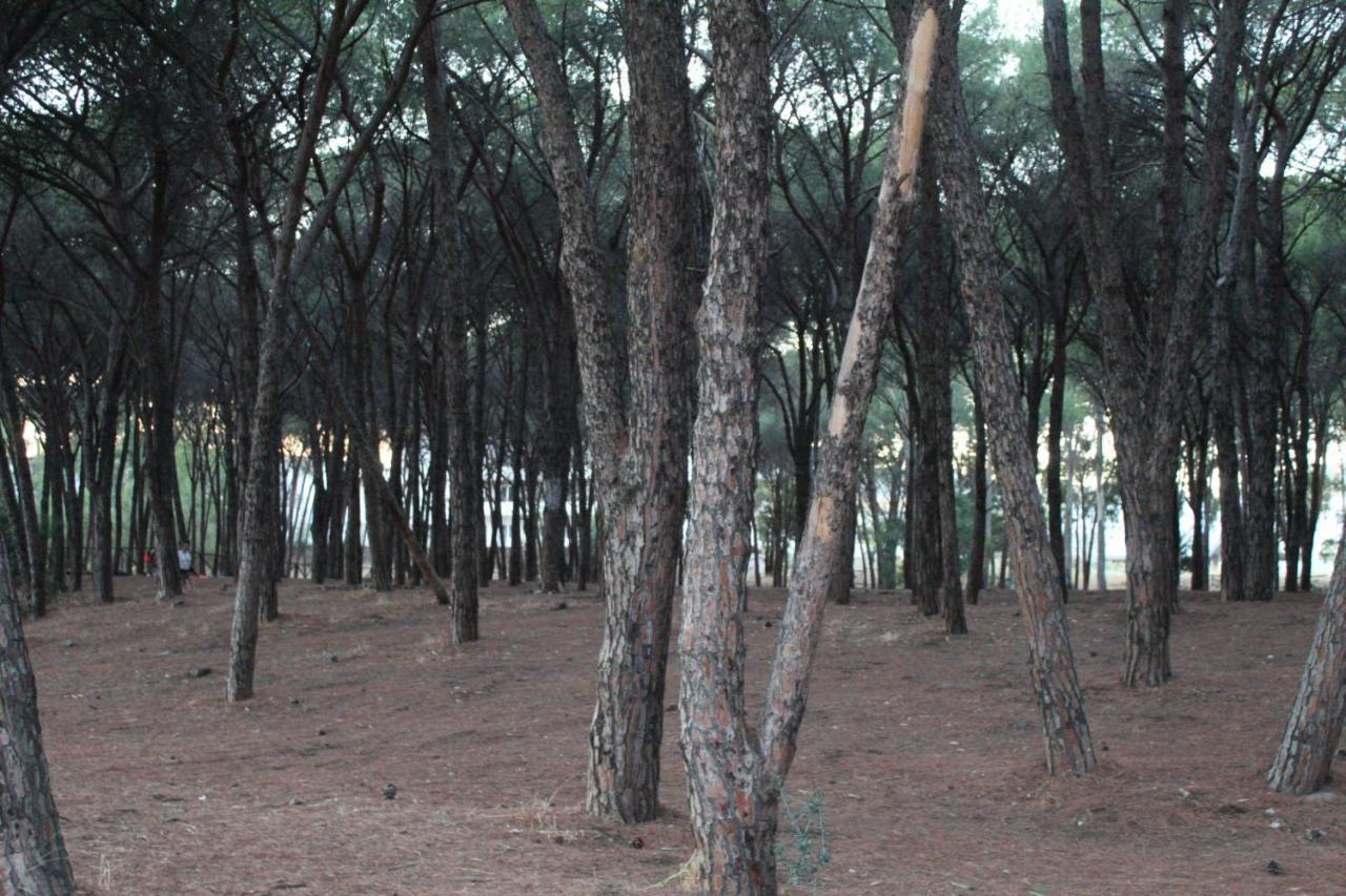 Park Hotel Le Dune Di Giovino كاتانزارو المظهر الخارجي الصورة
