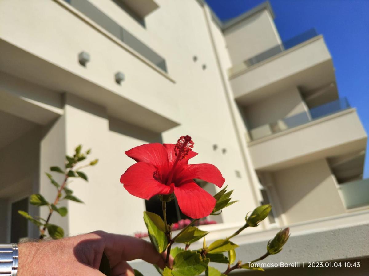 Park Hotel Le Dune Di Giovino كاتانزارو المظهر الخارجي الصورة